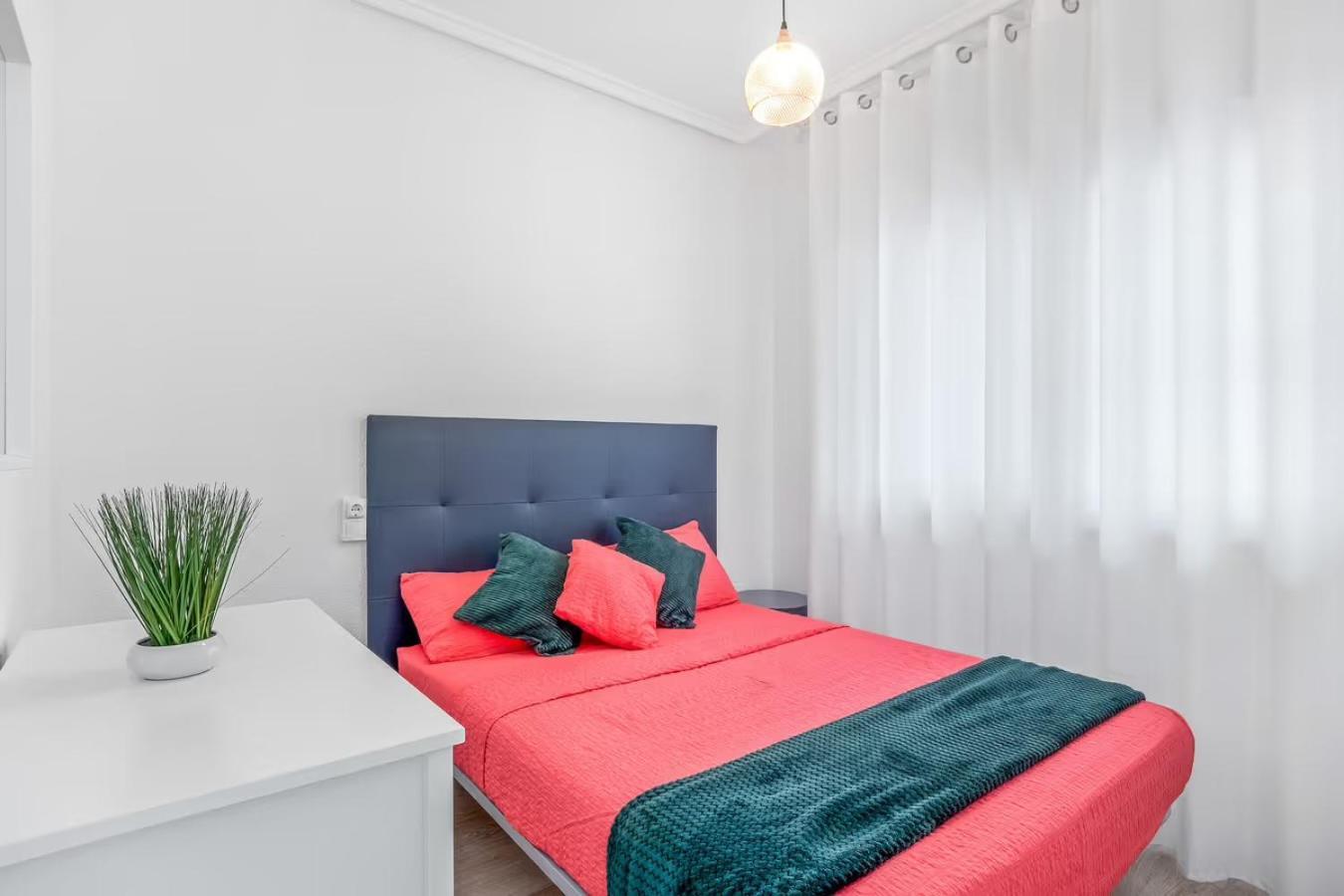 Apartamento Estefany A 100 M De Playa 또레비에하 외부 사진
